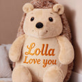 Personalised hedgehog plush toy named Quill with custom embroidered name, soft cuddly hedgehog gift front view