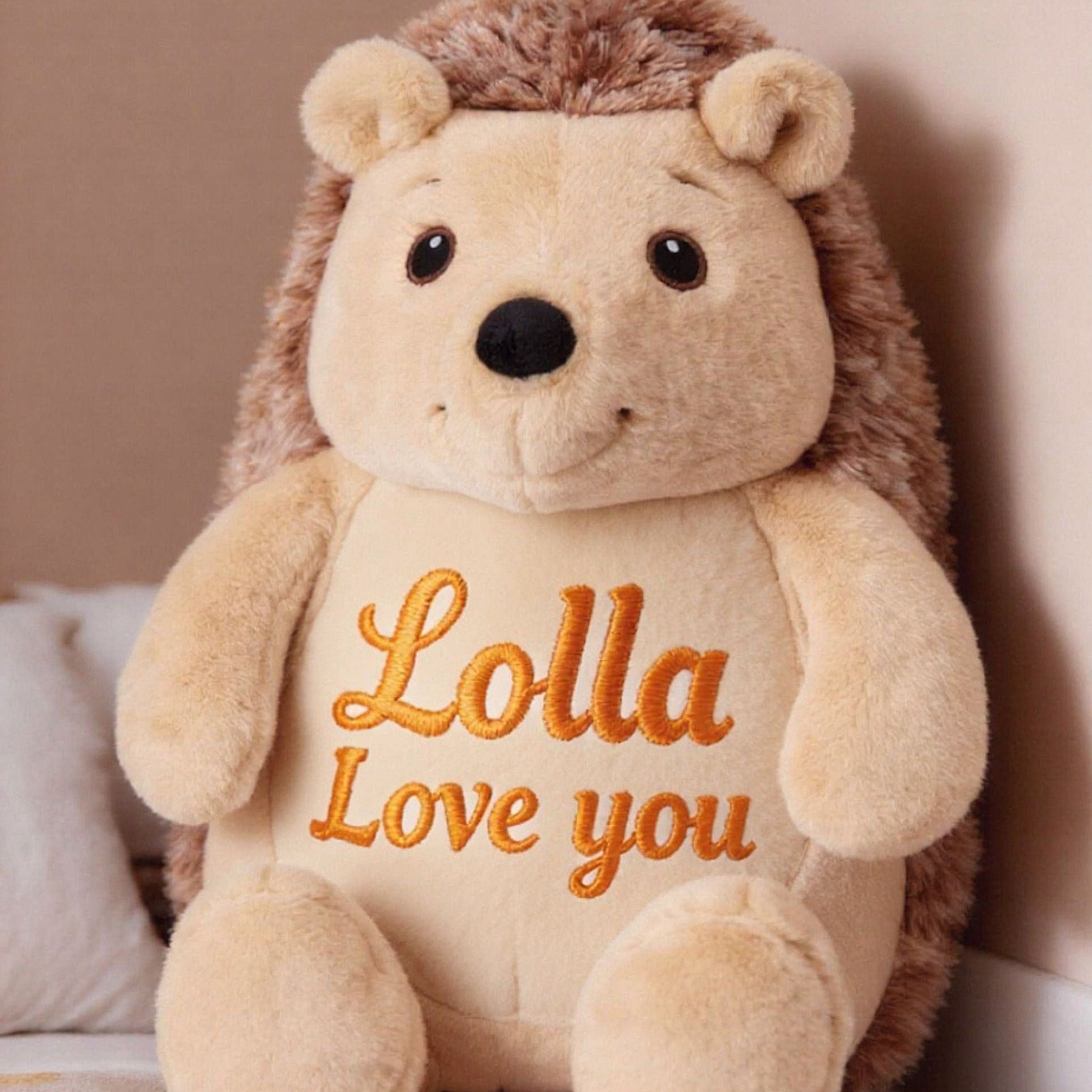 Personalised hedgehog plush toy named Quill with custom embroidered name, soft cuddly hedgehog gift front view