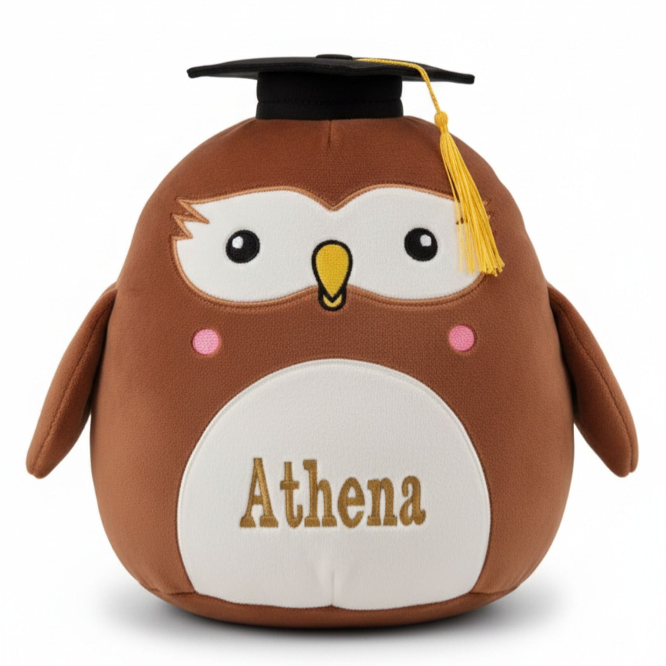 Echo the plush graduation owl sitting on a classroom desk